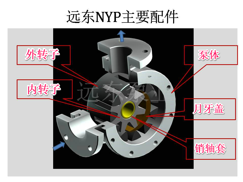NYP高粘度泵泵头结构
