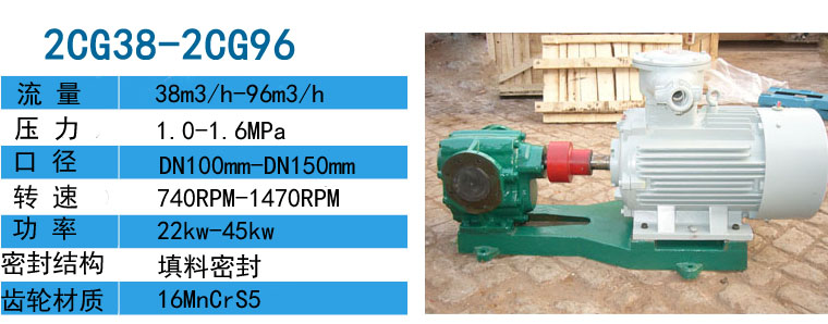防爆渣油齿轮泵