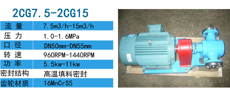 2CG硬齿面渣油泵