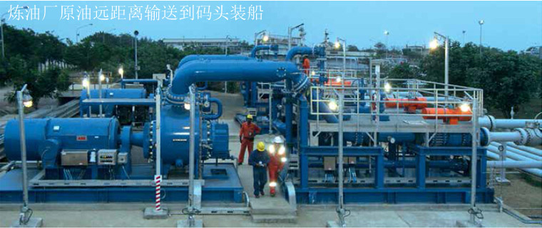W双螺杆原油输送泵 W双螺杆原油输送泵