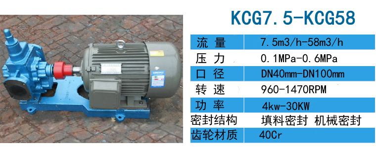 KCG高温齿轮油泵