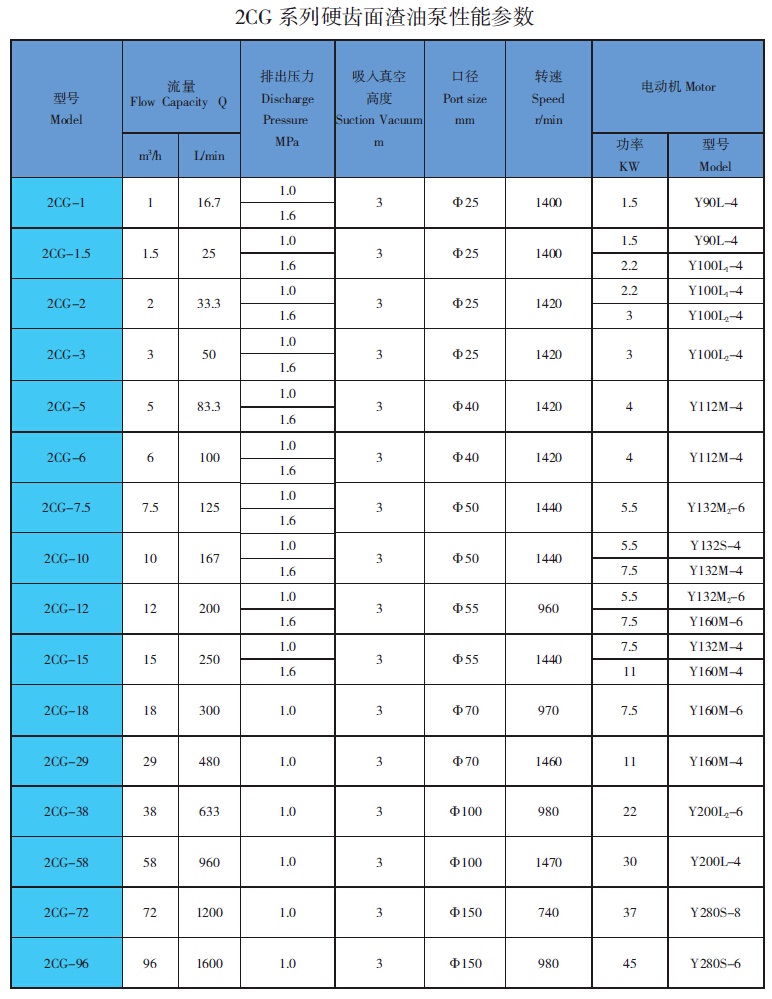 2CG高温渣<a href='/product/' class='keys' title='点击查看关于油泵的相关信息' target='_blank'>油泵</a>参数