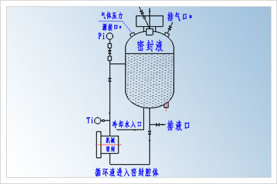 高粘度泵双端面机械密封