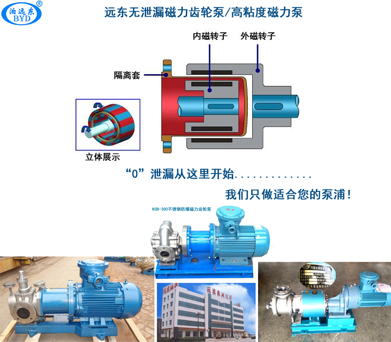 高粘度磁力齿轮泵