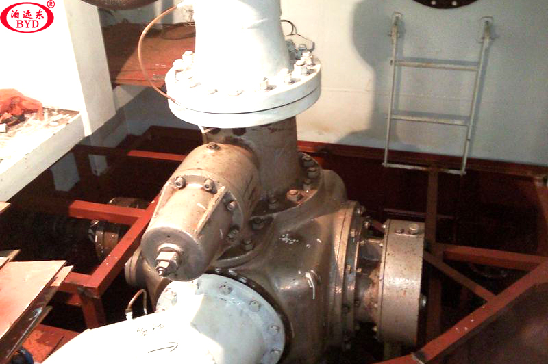 W8.4ZK130Z3M1W79双螺杆泵