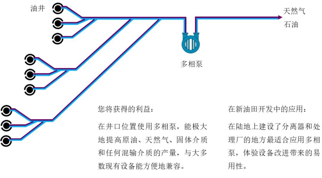 油气混输双螺杆泵