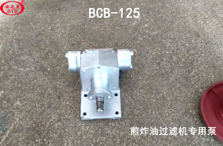 远东牌BCB-125高温油泵配套煎炸油机20台调试成功