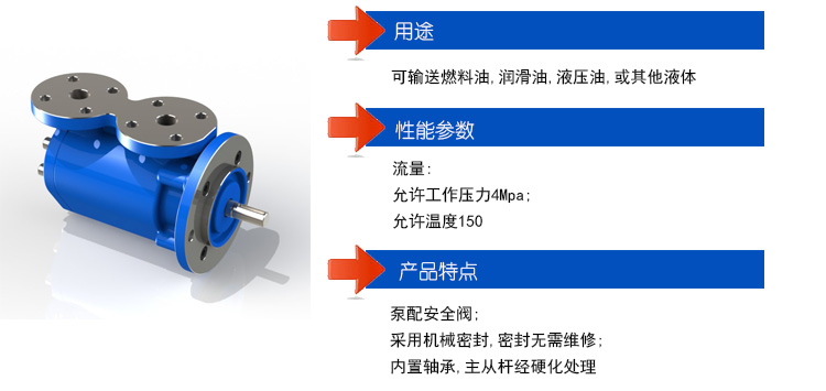 SPF40R46G10W21螺杆泵泵头安装尺寸图