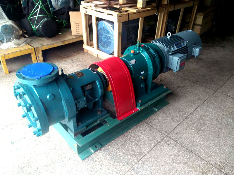 22KW高粘度泵NYP320-RU-T2-W11